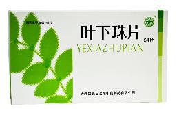 叶下珠片